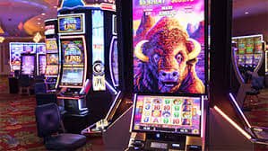 kx8 bet login